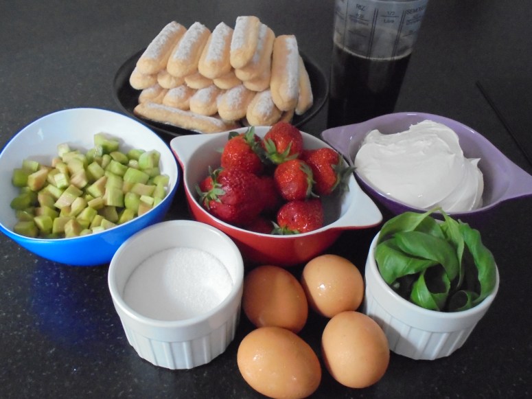 Tiramisu, fraises, rhubarbes et basilics (10)