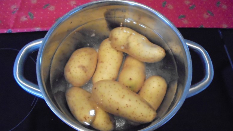 st-jacques-et-son-ecrasee-de-pdt-au-comte-25